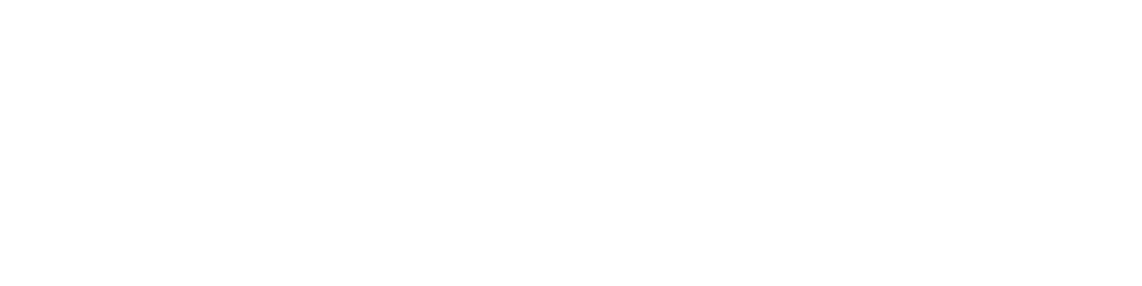 Chris The Insurance Man